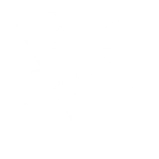 Power of Rock Logo Banderole